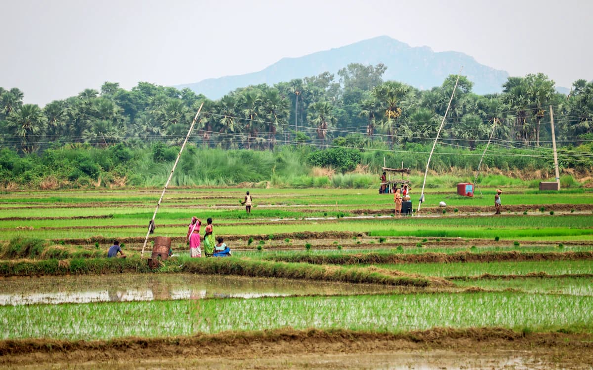 Rural Consumer Research India: The 2026 Guide to Understanding India's Biggest Market